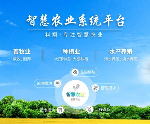 計(jì)算機(jī)技術(shù)賦能農(nóng)機(jī)工業(yè) 從智能咨詢到數(shù)字化轉(zhuǎn)型